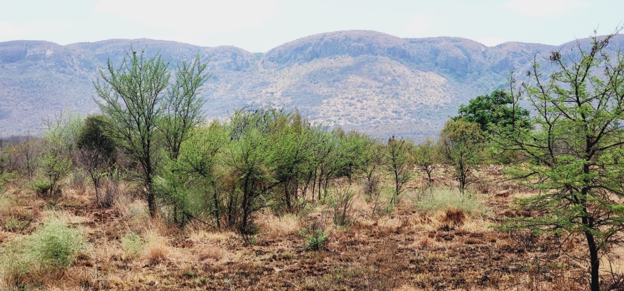  Bedroom Property for Sale in Rietfontein A H North West